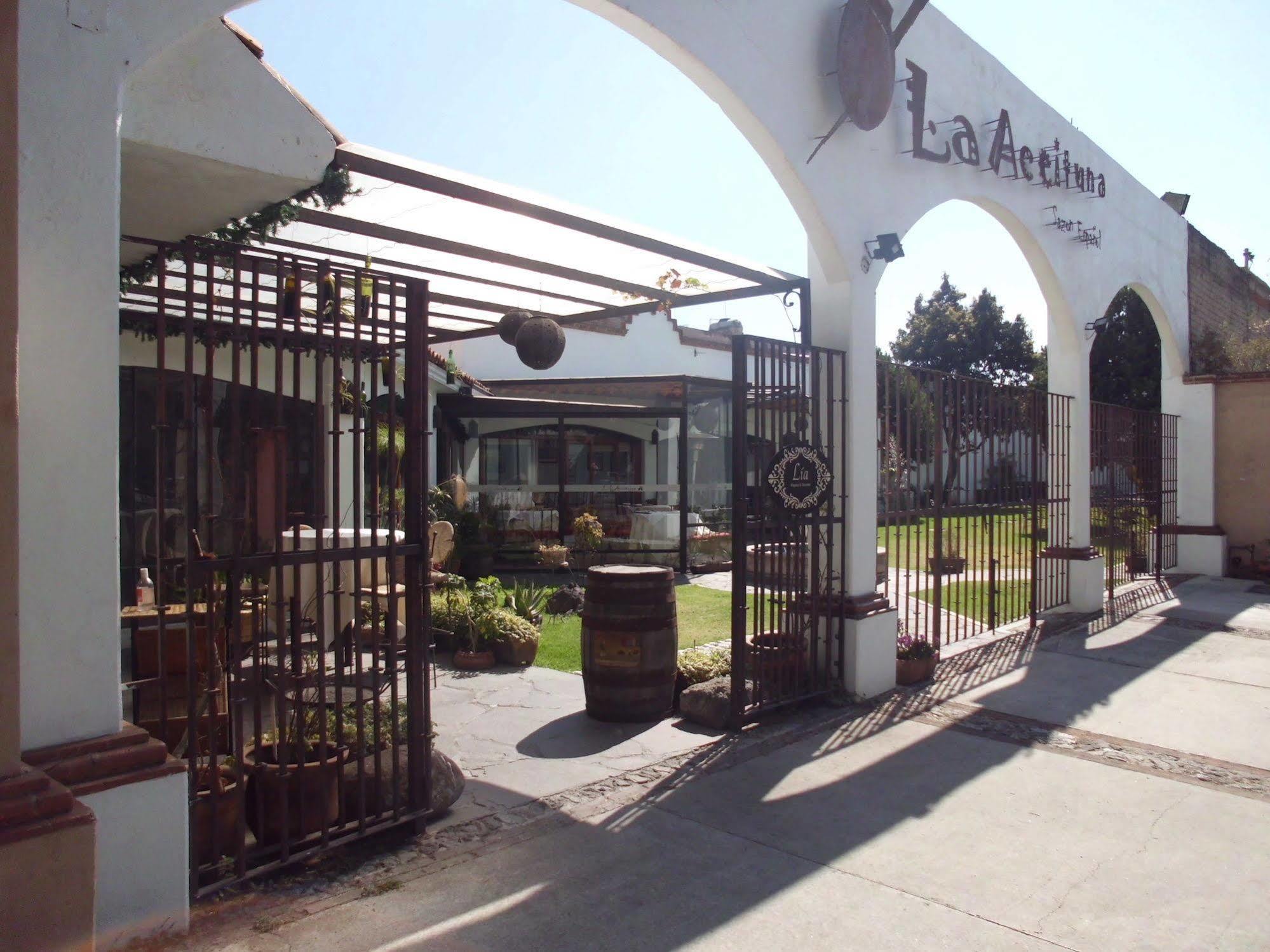 Hotel La Posada Apizaco Exterior photo